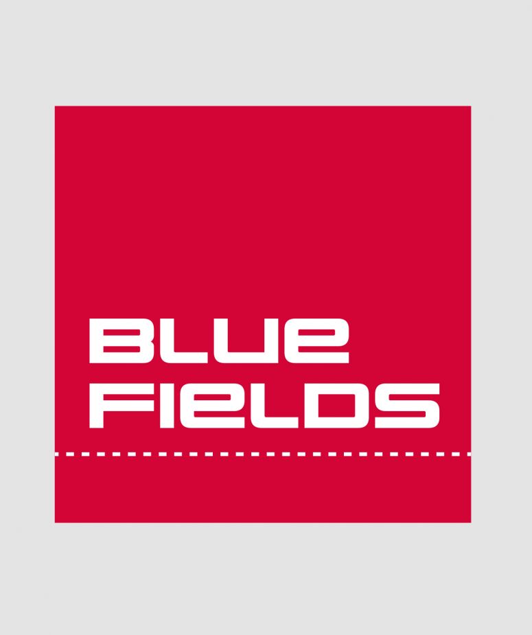 BlueFields Fashion - AGH & Friends