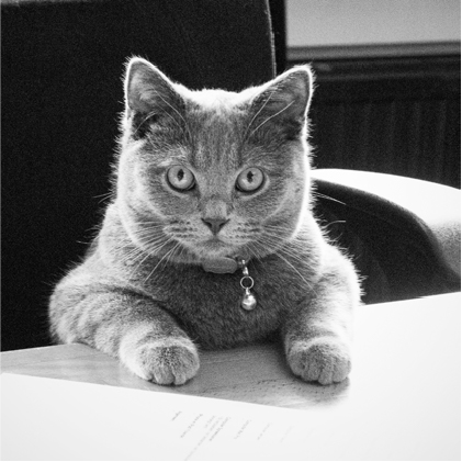 Sir James