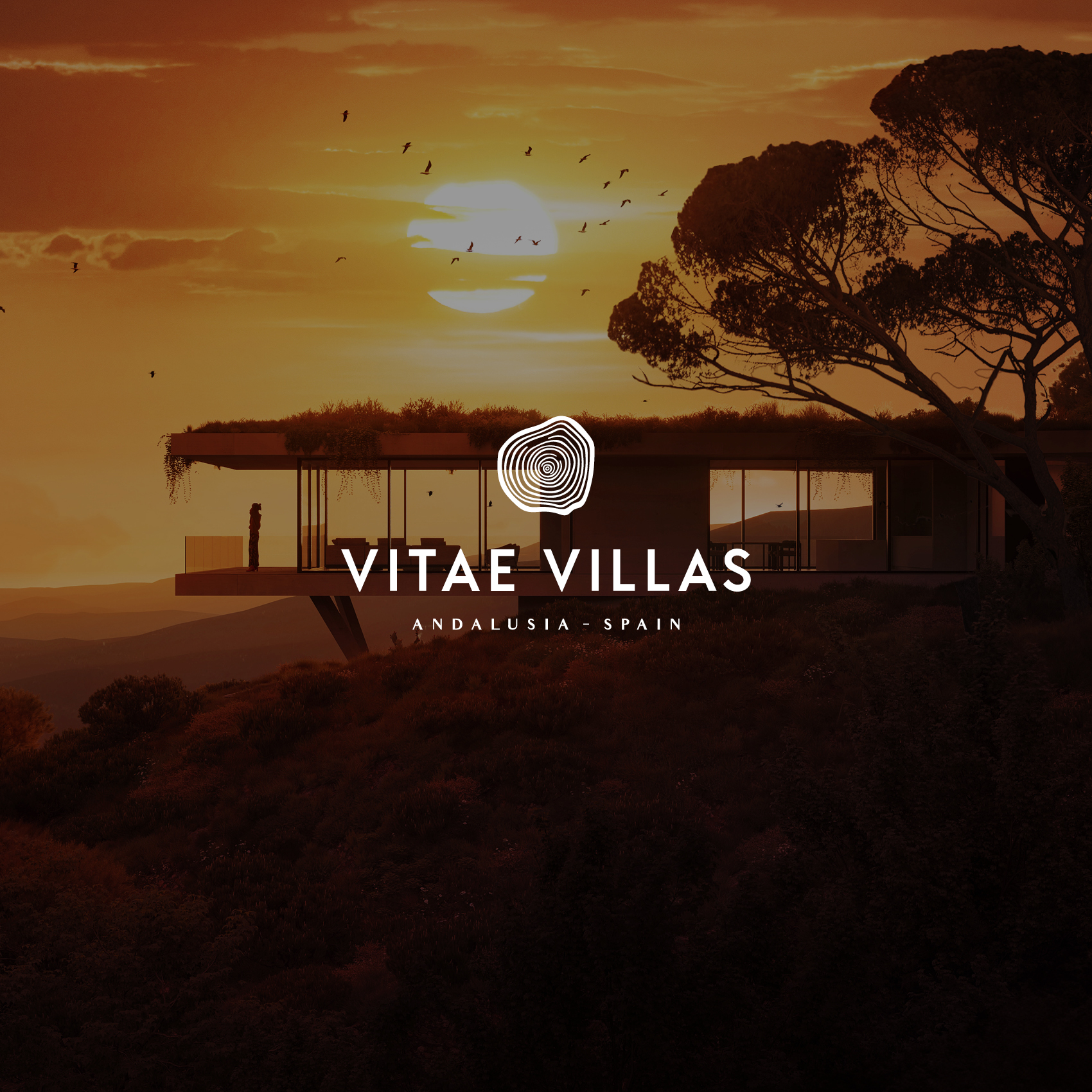 The Vitae Villas logo - white on an image