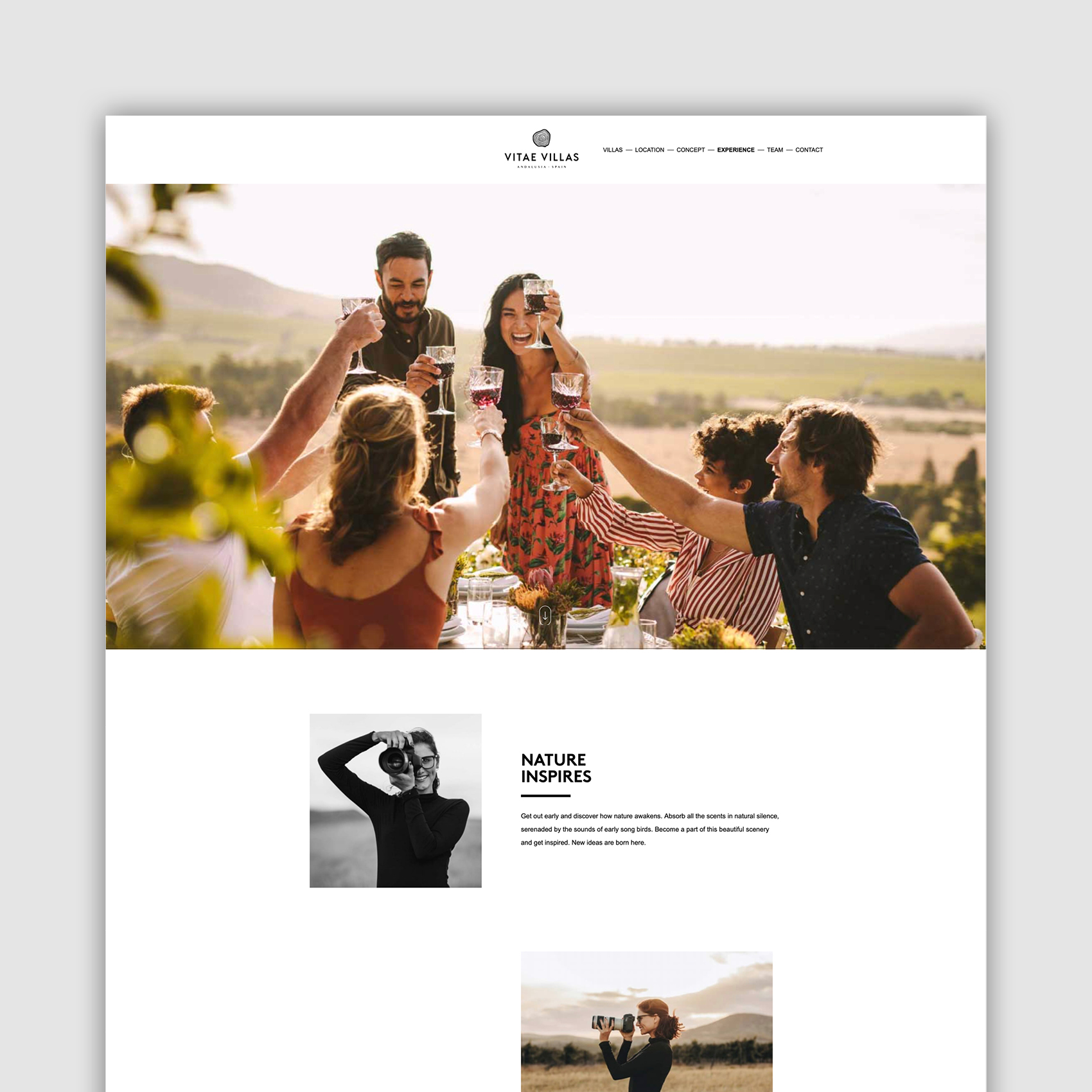 Vitae Villas website design
