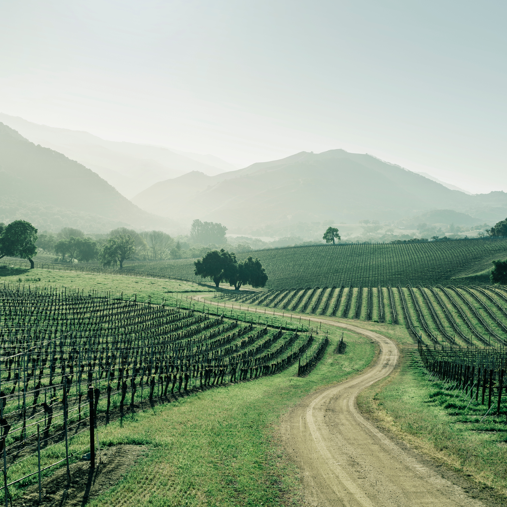 Bernardus Wine and Golf Magazine 2025