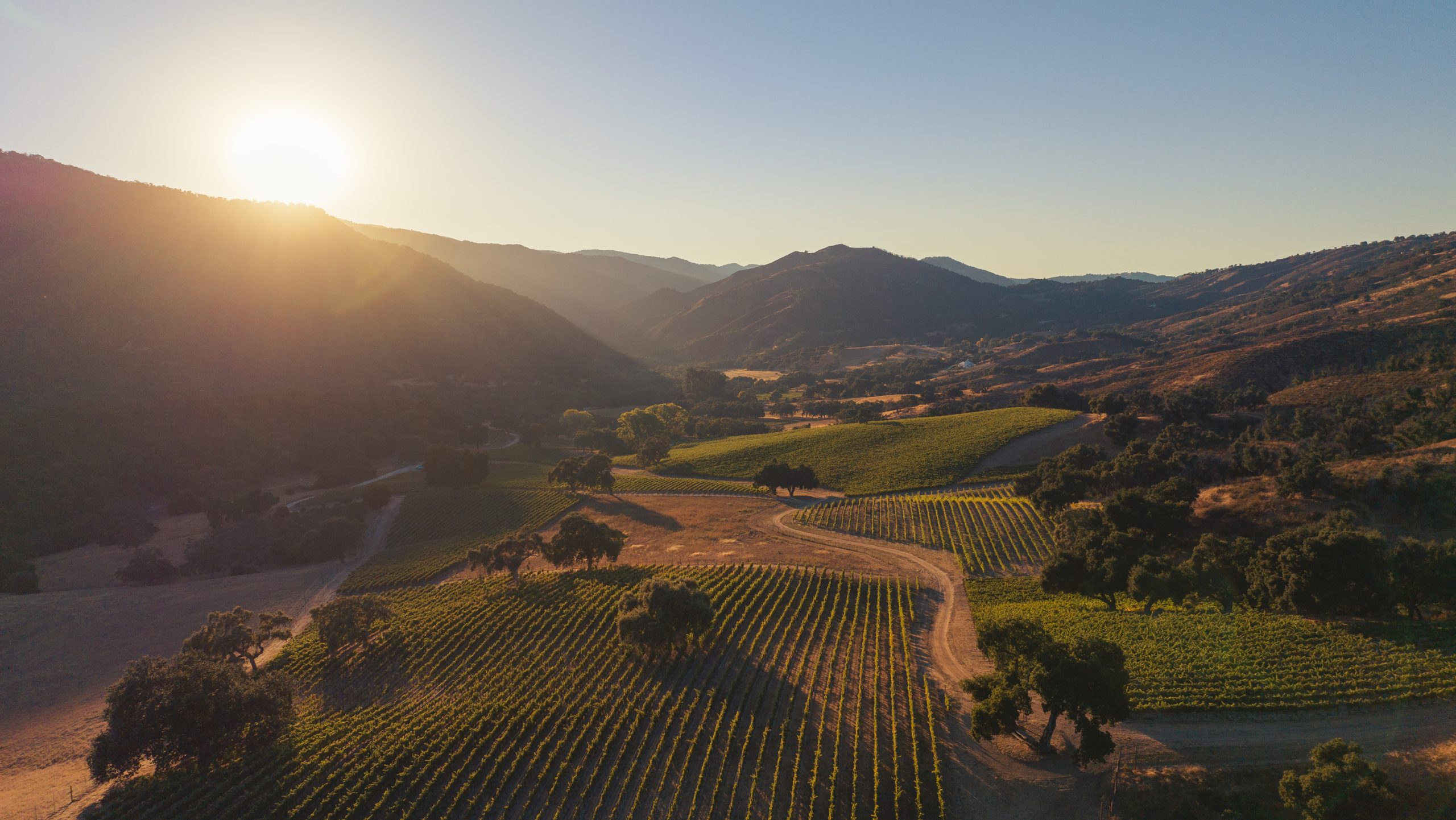 Bernardus Wine and Golf Magazine 2025